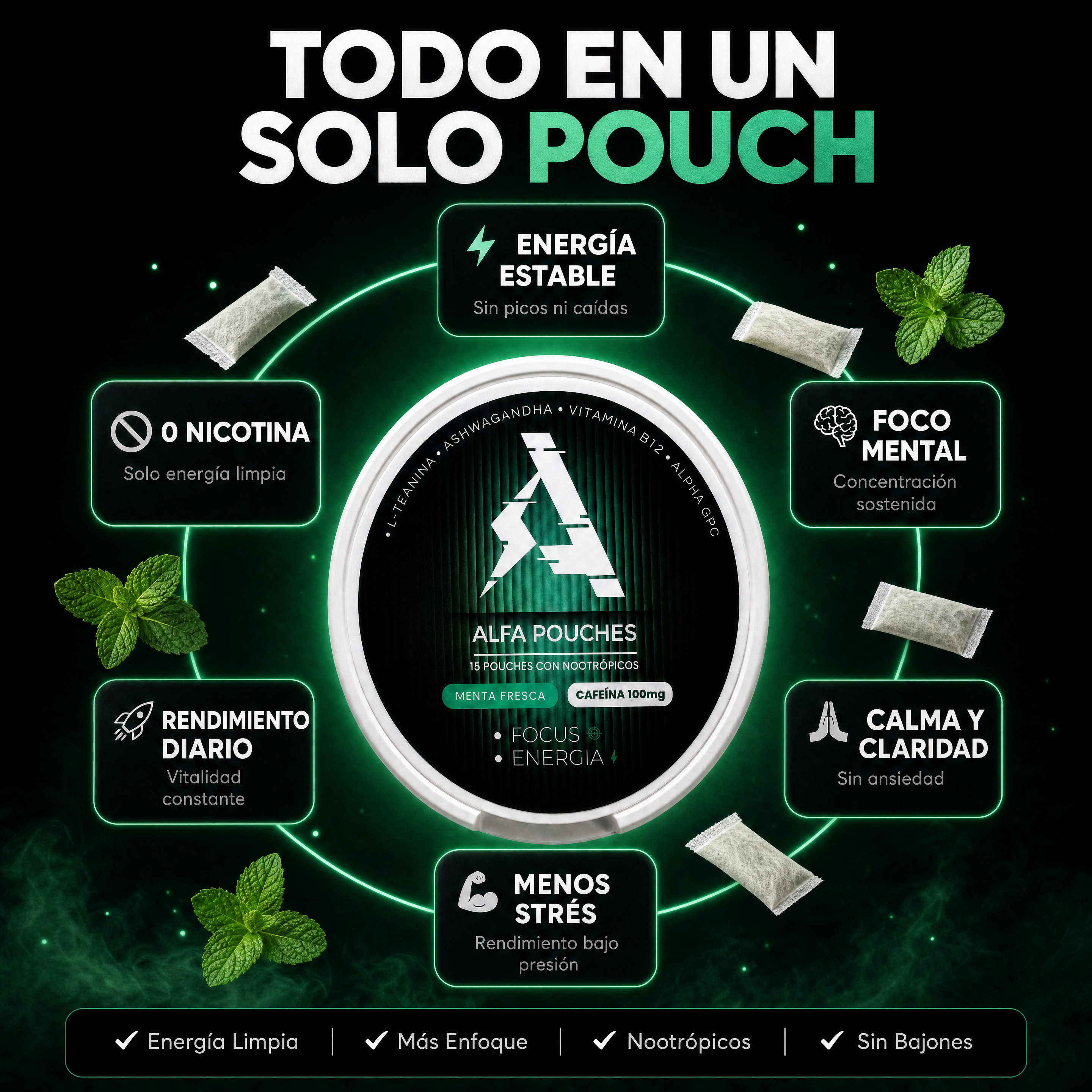 ALFA • Focus y Energía •