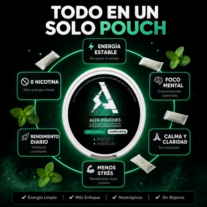 ALFA • Focus y Energía •