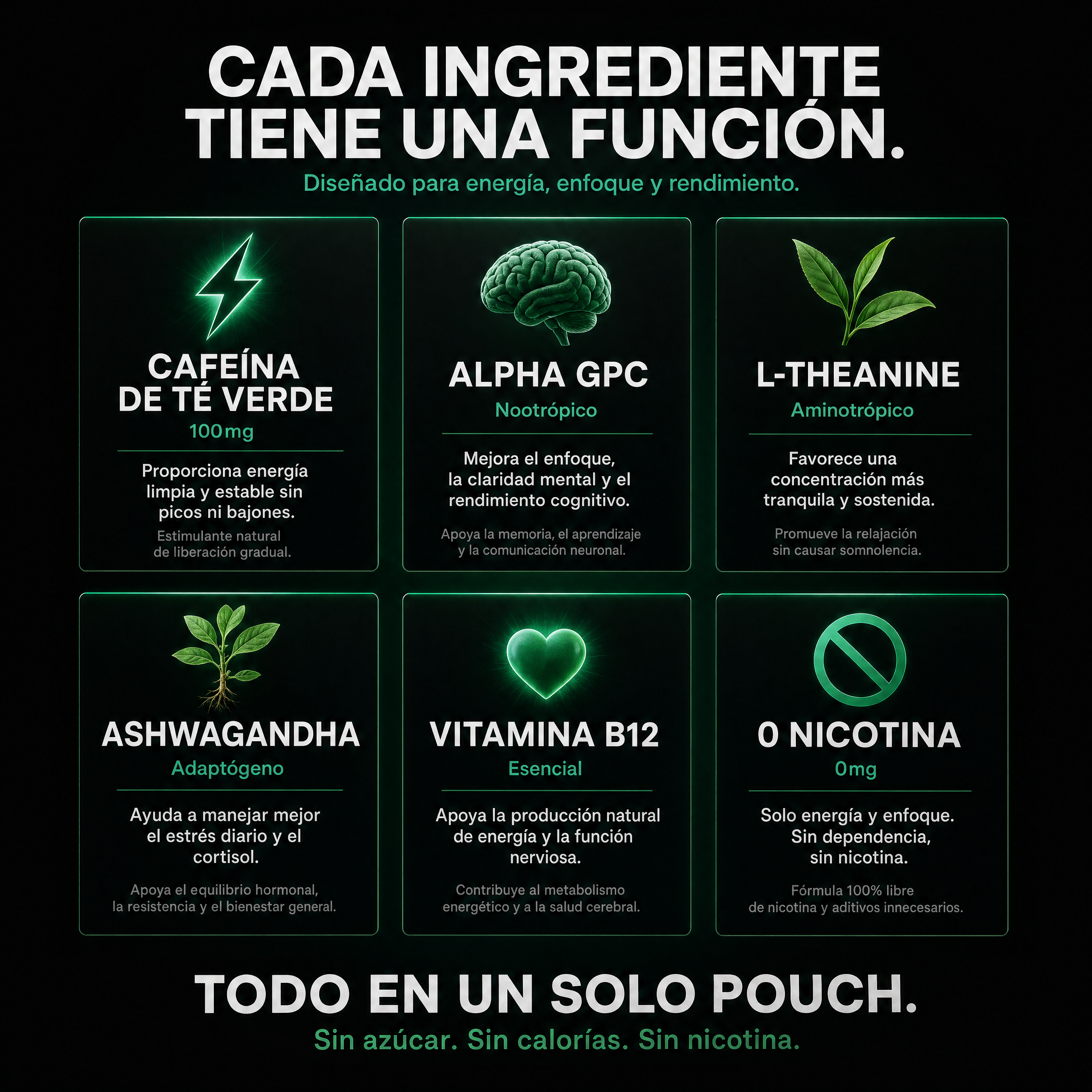 ALFA • Focus y Energía •