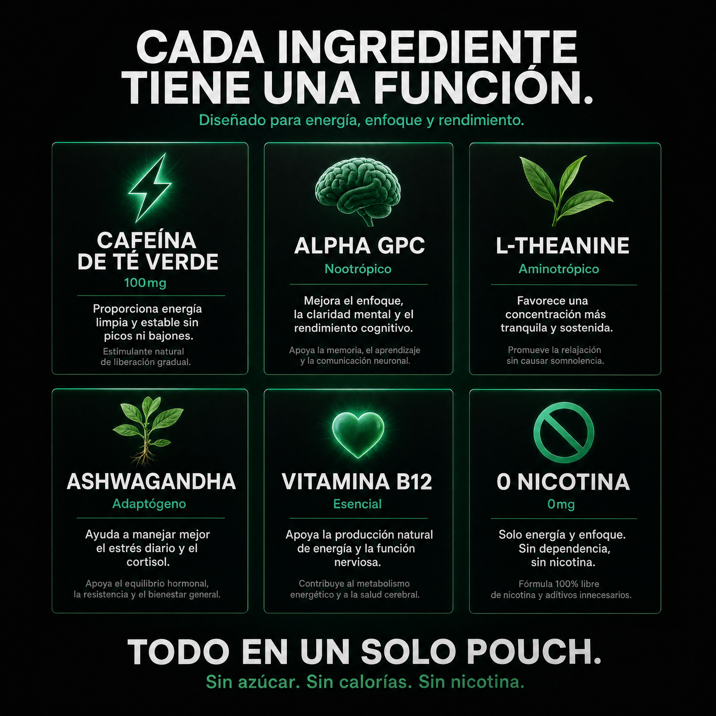 ALFA • Focus y Energía •