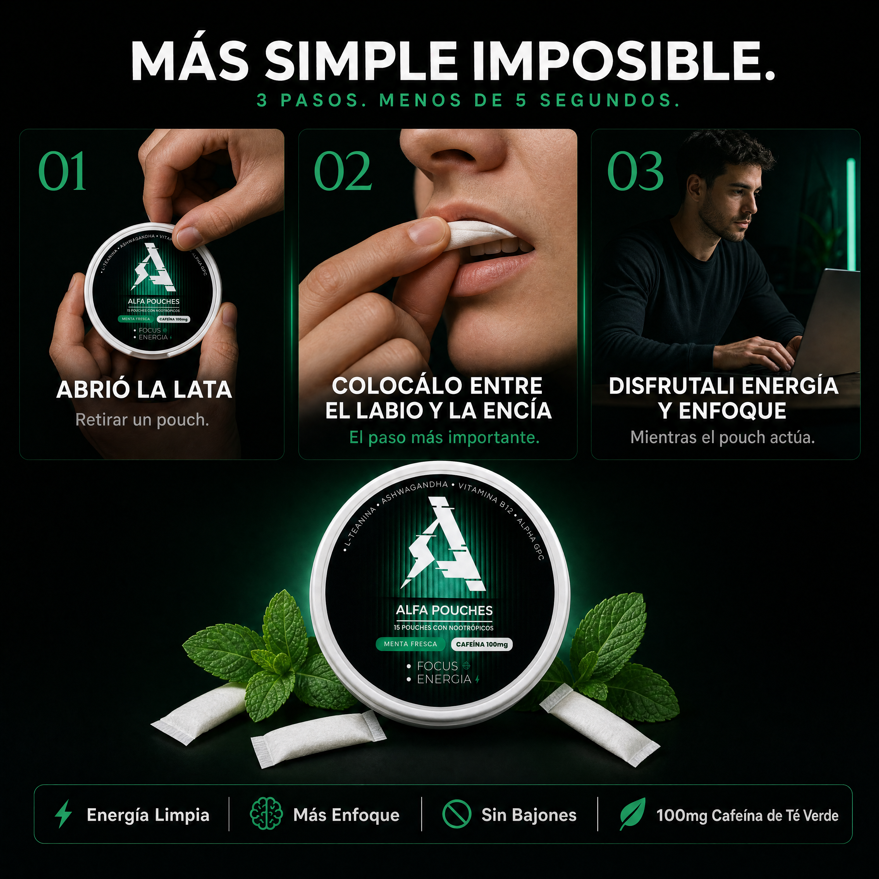ALFA • Focus y Energía •