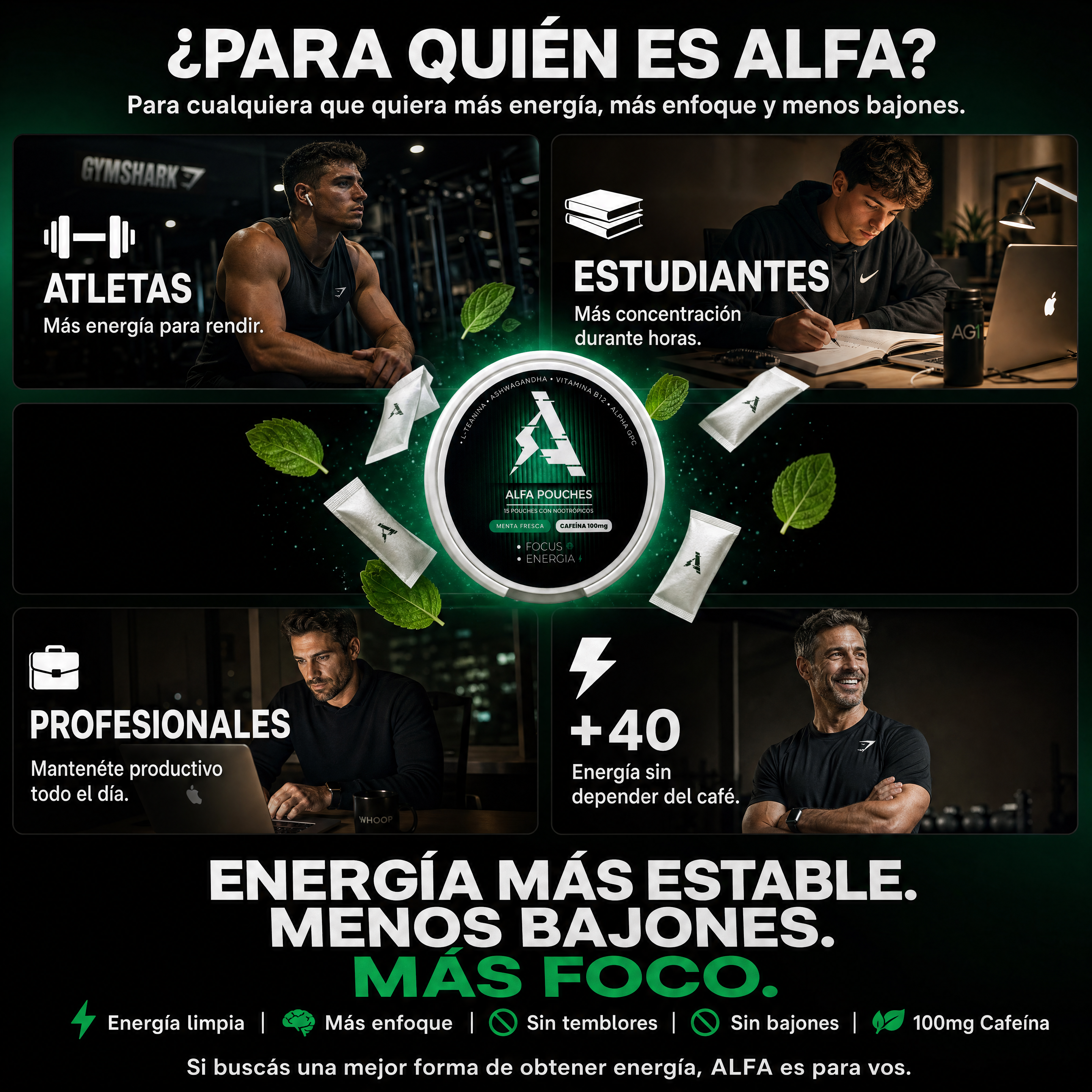 ALFA • Focus y Energía •