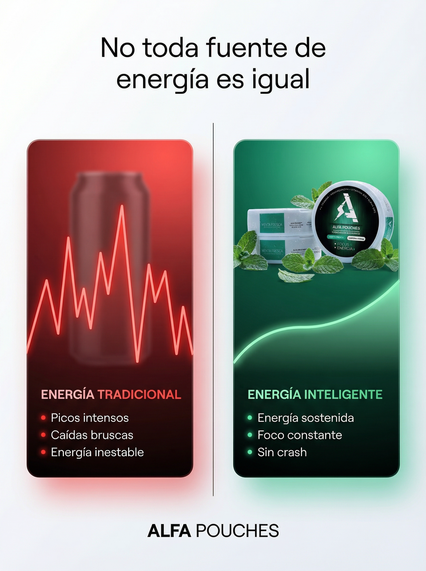 ALFA • Focus y Energía •